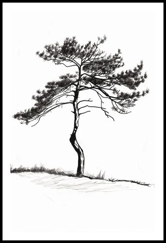 Plakat 56,6x86,4cm Samotna Sosna na Arena.pl
