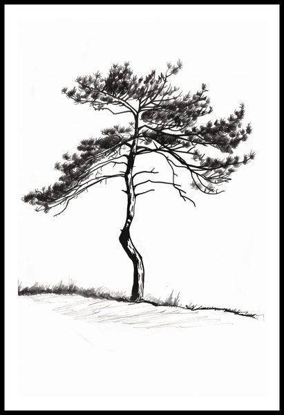 Plakat 56,6x86,4cm Samotna Sosna zdjęcie 3