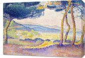 Obraz 70x50cm Pines Along the Shore, Henri-Edmond Cross do Salonu