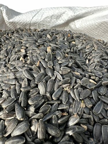 Słonecznik czarny 20 kg na Arena.pl