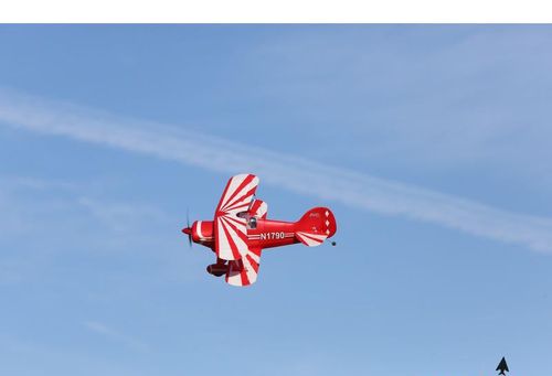 Micro Pitts S-1S AS3X Bind & Fly Basic na Arena.pl