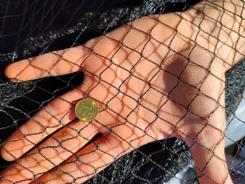 MOCNA SIATKA przeciw PTAKOM na BALKON na Drzewka Wolierę 7,5 x 7,5 m na Arena.pl