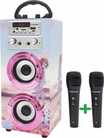 Głośnik przenośny Dynasonic Bluetooth FM AUX USB