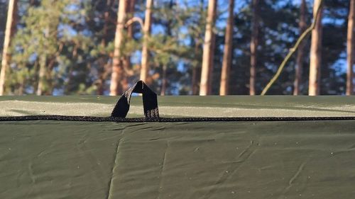 EASY Tarp 4×3 green Bushmen na Arena.pl