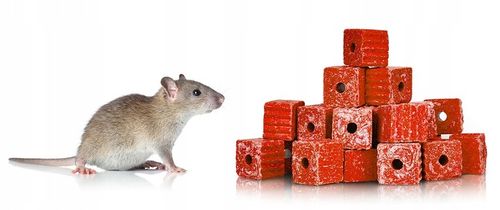 SILNA TRUTKA NA MYSZY I SZCZURY MURIBROM KOSTKA WOSKOWA BROMADIOLON na Arena.pl