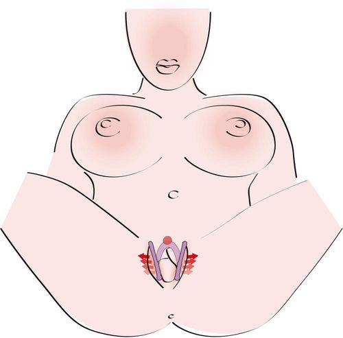 Intimate Spreader Li na Arena.pl