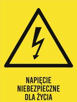 Tablica Napięcie niebezpieczne dla życia grawer piktogram 20x15 duży wybór