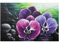 product-compare-58712358