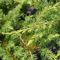 product-compare-57851333