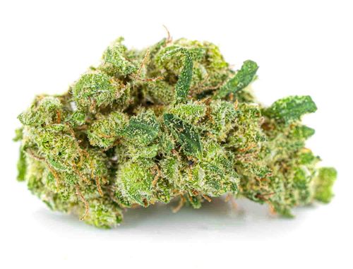 Susz konopny V1 CBD PREMIUM Exclusive Weed 50g na Arena.pl