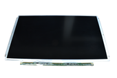 AU OPTRONICS B133XW01 V.1
