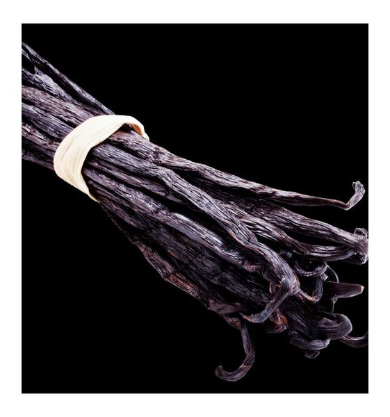 Yodeyma Vanity Woda Perfumowana Dla Kobiet 100ml zdjęcie 5