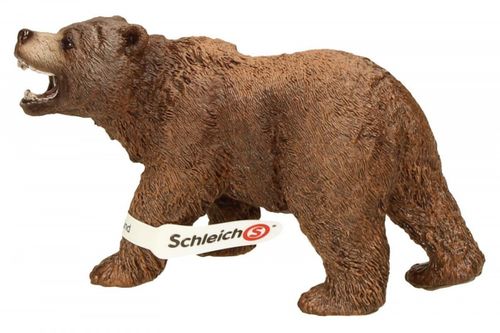 Niedzwiedź Grizzly na Arena.pl