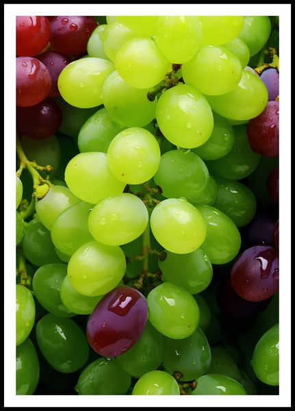 Plakat 68x98cm Winogronowy Kalejdoskop zdjęcie 3