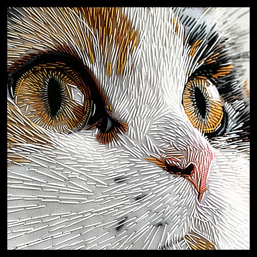 Plakat 50x50cm Nitkowany Kot na Arena.pl