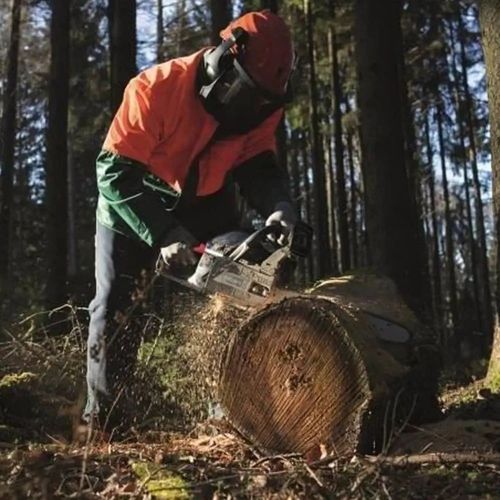 Dmuchawa spalinowe Scheppach 14,5 kg na Arena.pl