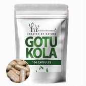 WĄKROTKA AZJATYCKA 500mg 4:1 | GOTU KOLA | 100 KAPSUŁEK SKUPIENIE I PAMIĘĆ