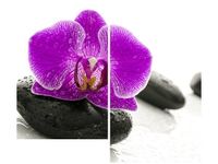 80X70CM STORCZYK KAMIENIU DUO OBRAZ