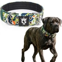 Obroża Taktyczna dla Psa L Metalowa Klamra Moro Zielona TSPRO