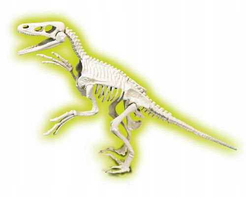 skamieniałości velociraptor fluorescencyjny 6392 na Arena.pl