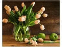 40X50CM RDZAWE TULIPANY OBRAZ