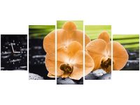 70CM 150CM ZEGAR 5 ELEM STORCZYK POMARAŃCZOWY DRUK OBRAZ