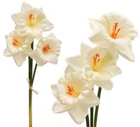 ŻONKIL NARCYZ BUKIET SZTUCZNE KWIATY BIAŁY 38cm WIĄZKA