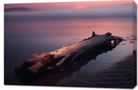 Obraz 90x60cm W Oczekiwaniu Na Koniec