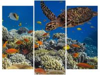 product-compare-58672068