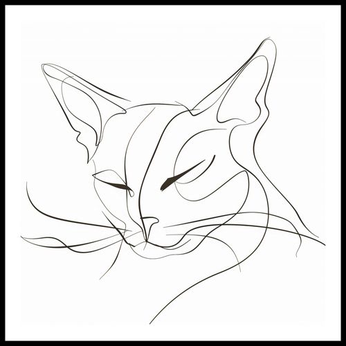 Plakat 90x90cm Linijny Kot na Arena.pl