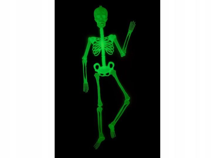 Fluorescencyjny szkielet Halloween 150 cm zdjęcie 2