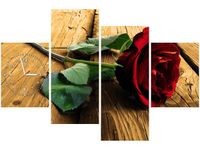 product-compare-58639612