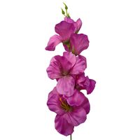 Mieczyk poj. biskupi 12 szt