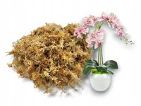 product-compare-61668736