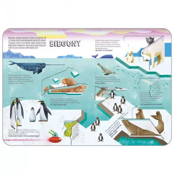 Podnieś klapkę. Ziemia zdjęcie 3