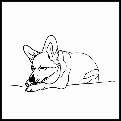 Plakat 70x70cm Śpiący Corgacz na Arena.pl