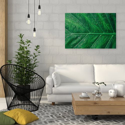 Deco Panel, Mokry liść z bliska 60x40 na Arena.pl