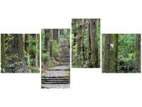 OBRAZ JAPOŃSKA ŚCIEŻKA PRZEZ LAS