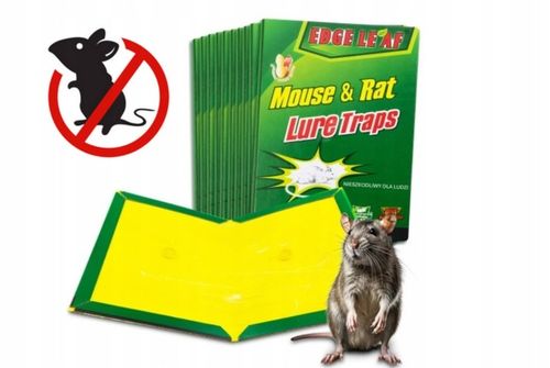 LEP NA MYSZY SZCZURY PUŁAPKA 40x ŁAPKA MYSZOŁAPKA SILNY MOCNY KLEJ na Arena.pl