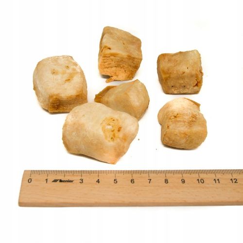 Ser himalajski M / 60-79g Gryzak zdrowy przysmak dla psa serek 13-14 cm na Arena.pl