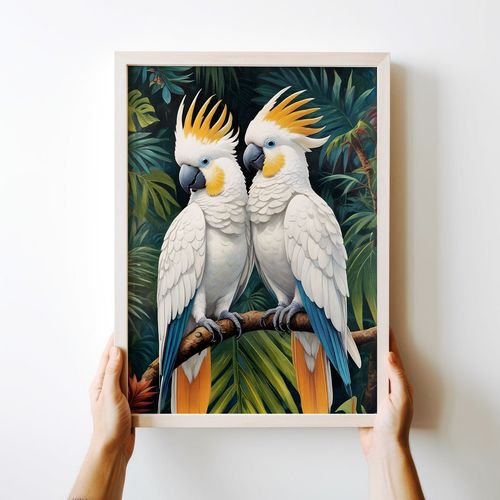 Plakat dwie papugi 40x50 cm na Arena.pl