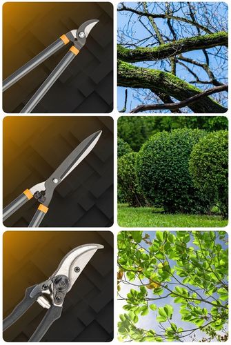 ZESTAW SEKATORÓW I NOŻYC OGRODOWYCH DO GAŁĘZI KRZEWÓW ŻYWOPŁOTU 3 SZT na Arena.pl
