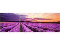 product-compare-58672739