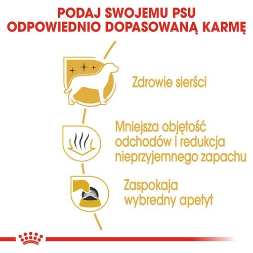 Karma z witaminami dla maltańczyka Royal Canin lśniąca, miękka sierść 500g na Arena.pl