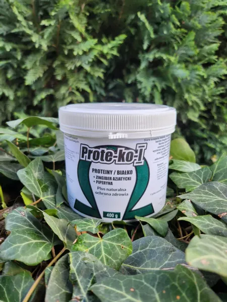 Prote-Ko I Prima 400 g białko proteiny NOWOŚĆ !!!! zdjęcie 1
