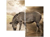 60X60CM ZEBRA WODOPOJU DWU OBRAZ ŚCIAN