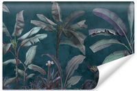 Fototapeta Drzewa Bananowe Liście TROPIKALNE Beton 450cm x 300cm