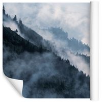 Fototapeta Góry Las we Mgle NATURA do Salonu 405x270