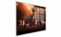 product-compare-60741990