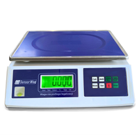 WAGA LICZĄCA SZTUKI DO 6KG 23x34cm SKLEPOWA PRECYZYJNA KONTROLNA DOKŁADNA